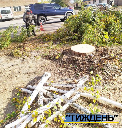 Комунальники Тростянця масово знищують здорові дерева