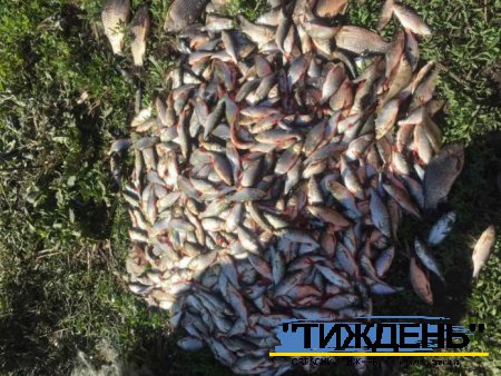 У Боромлі поліція задокументувала незаконний вилов 72 кілограмів риби