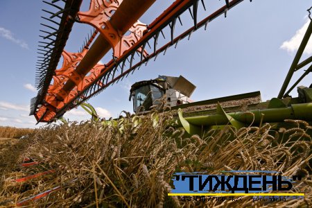 Посуха, сарана і ракети: чи буде Україна з зерном у 2025 році?