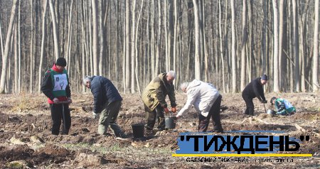 Акція «Озеленення планети» в Тростянці: волонтери за день висадили близько 5 тисяч сіянців лісу