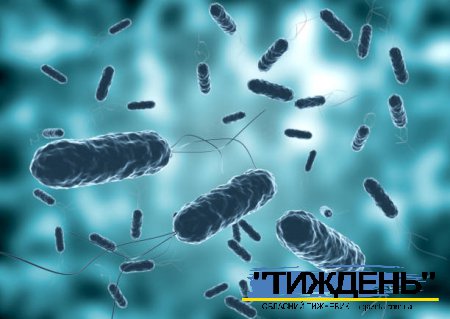 Холера — це гостра діарейна інфекція