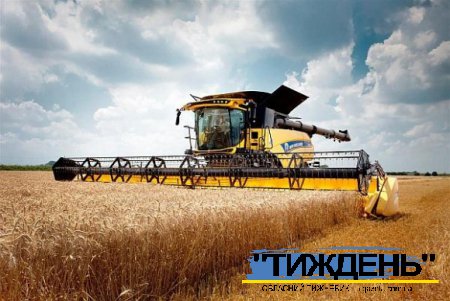 Пшениці вдосталь: аграрії прогнозують стабільність на внутрішньому ринку