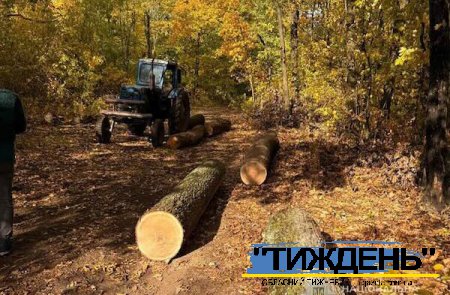 Чотири спиляних дуба замість шелесту купюр провели до лави підсудних