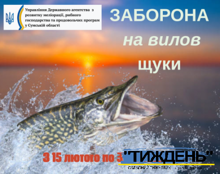 Встановленa заборона на вилов щуки звичайної