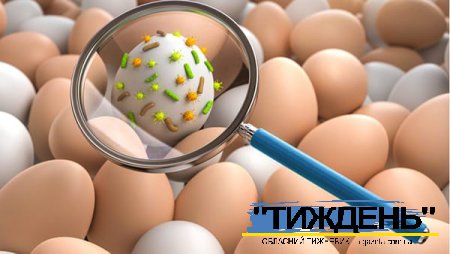 ВАЖЛИВА ІНФОРМАЦІЯ ПРО ПРОФІЛАКТИКУ САЛЬМОНЕЛЬОЗУ