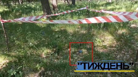 У лісі під Кам`янкою замість грибів знаходять рештки російських дронів